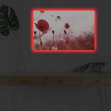 Wallity Zidna slika sa LED osvetljenjem 4570DHDACT-140, 45x70 cm | Eponuda.ba