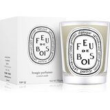Diptyque Feu de Bois mirisna svijeća 190 g | shoptok.hr