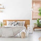 MID.YOU Mizica Tarolo, Bela | Shoptok.si
