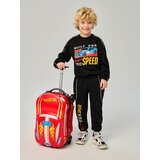 Sinsay Jogger donji dio trenirke Hot Wheels | shoptok.hr