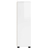  Kupaonski ormar s policom Visoki sjaj bijela 30,5 x 30 x 101 cm | shoptok.hr