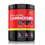 Genius Nutrition Aminokiselina Karnogen Beta-Alenine, 300 g Cene