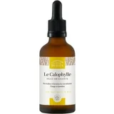 Calophyllum olje (Tamanu) - 50 ml