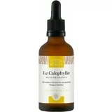 Comptoir des Huiles calophyllum ulje (tamanu) - 50 ml