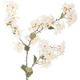 Bloomingville Umjetna biljka (visina 100 cm) Myrtle – | shoptok.hr