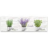 Styler Slika Platno Shabby Herbs, 27 x 75 cm Cene
