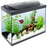 Tetra akvarij Starter Line LED črni 80 l | Shoptok.si