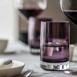 Schott Zwiesel Univerzalni kozarec Handmade Scita | Shoptok.si