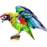 IZMAEL Lesene puzzle - Macaw / L Cene