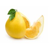  Pomelo | ePonuda.com