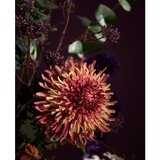 Light & Living Umjetna biljka (visina 91 cm) Chrysantheme – | shoptok.hr