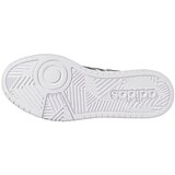 Adidas Nizke superge Hoops 3.0 Bela | Shoptok.si