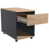 MID.YOU Predalnik Na Kolescih Dalosa, Hrast | Shoptok.si