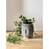 Sinsay Tegla za biljke | shoptok.hr