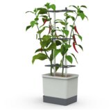 Gusta Garden CHARLY CHILI XL - svetlo siva Cene