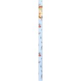 Profissimo nature papir za poklone 5m x 70cm 1 kom Cene