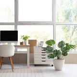 MID.YOU Umetna Rastlina Monstera I | Shoptok.si