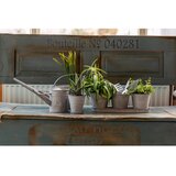 Esschert Design Cvetlični lonec - stari cink - M | Shoptok.si