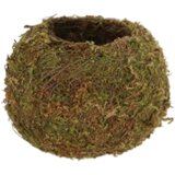Esschert Design Kokedama krogla - S cene