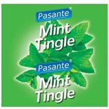 Pasante Mint Flavour Condoms 144pcs Cene
