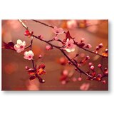  Slike na platnu cveće (moderne slike na platnu) | ePonuda.com