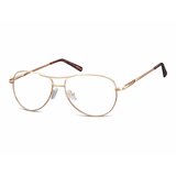 Berkeley Naočare 699 B Cene