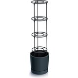 Home Grower" lonec za gojenje paradižnika z oporo za vzpenjanje, antracitna - ⌀ 29 cm Cene