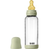 Bibs steklenička steklena lateks 240 ml, srednji pretok Sage Cene