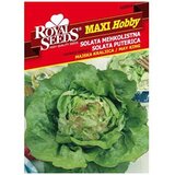  Salata Majska Kraljica Maxi Royal Seeds | Eponuda.ba