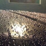 Sonax PROFILINE Polimerna zastita - 223300 | ePonuda.com