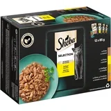 pakiranje Sheba različice v vrečkah za ohranjanje svežine 48 x 85 g - Selection v omaki Različice perutnine