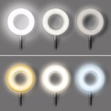 solight WO66-B- LED prigušiva stona lampa sa klipsom LED/8W/230V 3000/4000/5000K crna | Eponuda.com