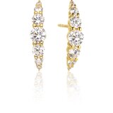 SIF JAKOBS uhani SJ-E42118-CZ-SG | Shoptok.si