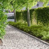 Ograda oko Travnjaka 20 pcs 103 x 10 cm Čelik Srebrna | shoptok.hr