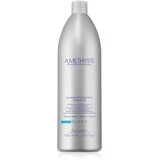  Šampon protiv peruti Farmavita Amethyste Purify – 1000 ml | Eponuda.ba