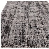 Asiatic Carpets Sivi tepih 120x170 cm Kuza – | shoptok.hr