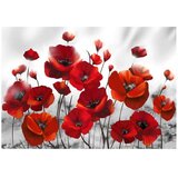  Tapeta - Poppies in the Moonlight 450x315 | shoptok.hr