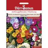 Dürr Samen Mešanica vzpenjalk | Shoptok.si