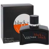 Nuparfums Black is Black Vintage Vinyl 100 ml toaletna voda za muškarce | shoptok.hr