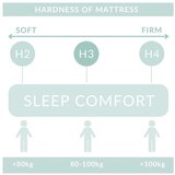 Maison de Rêve Temno zelena boxspring postelja s prostorom za shranjevanje 160x200 cm Passion – | Shoptok.si