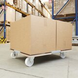 Wagner Transportna plošča BARRERA, MM 1379, DxŠ 800 x 600 mm, nosilnost 400 kg | Shoptok.si