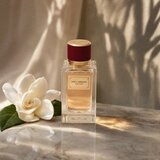 Dolce & Gabbana Velvet Desire parfumirana voda za ženske 100 ml | Shoptok.si