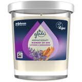 Glade aroma svijeća Zen 170g Cijene
