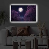 Opviq Slika na platnu sa LED osvetljenjem 45x70cm | Eponuda.ba