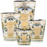 Baobab Collection My First Baobab Tomorrowland mirisna svijeća 500 g | shoptok.hr