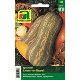 AUSTROSAAT Buča "Langer von Neapel" Cene