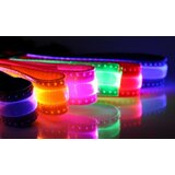  LED svetleča ovratnica za pse v izbrani velikosti | Shoptok.si
