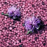 Axe Wild Fresh Bergamot & Pink Pepper dezodorans i sprej za tijelo 150 ml | shoptok.hr