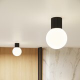 Sollux Črna stropna svetilka s steklenim senčilom ø 12 cm Orbital – | Shoptok.si