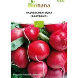 Bionana Bio redkvice "Sora" (semenski trak) Cene